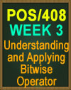 POS/408 Understanding and Applying Bitwise Operator